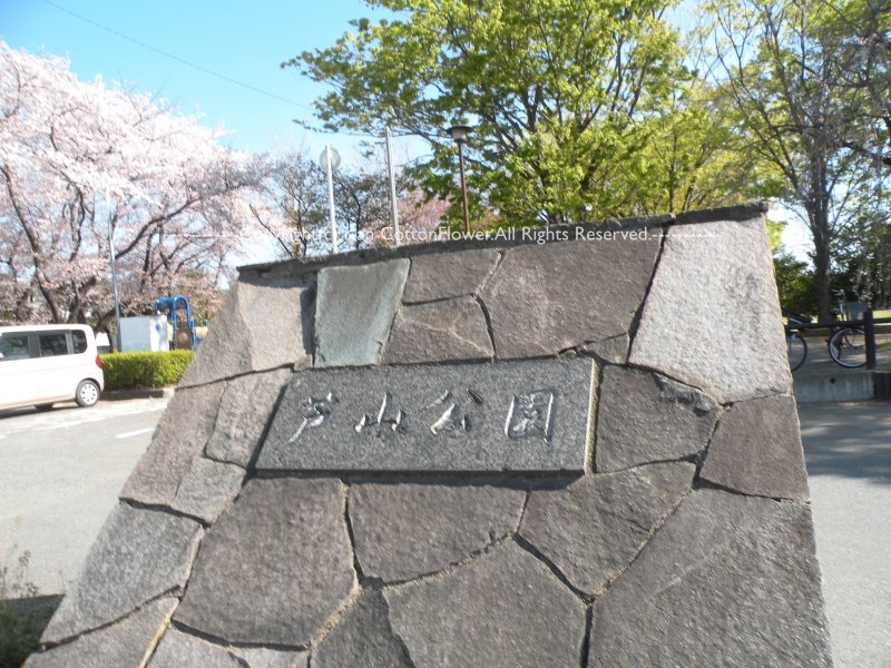 坂戸　芦山公園